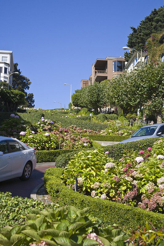 旧金山:汽车沿着弯曲的朗伯德街(Lombard Street)下行